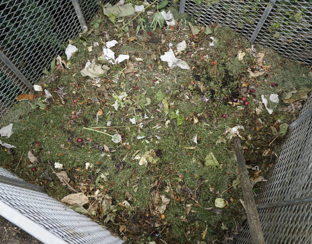 Was hilft gegen Fliegen im Kompost