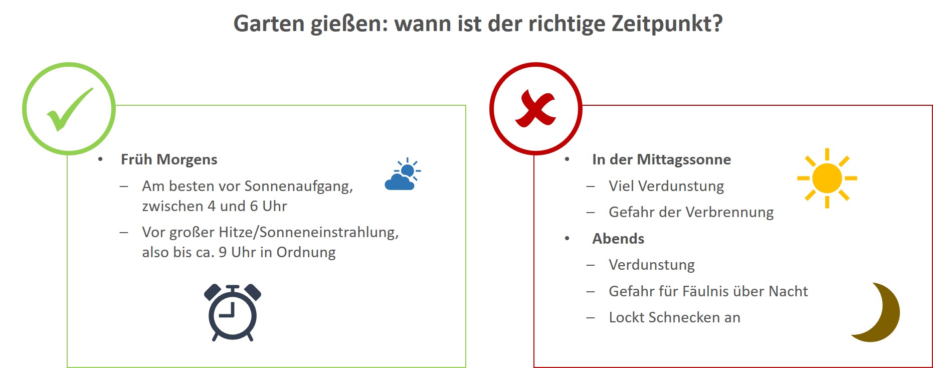 Garten richtig gießen wann, wie viel, wie lange &amp; wie oft