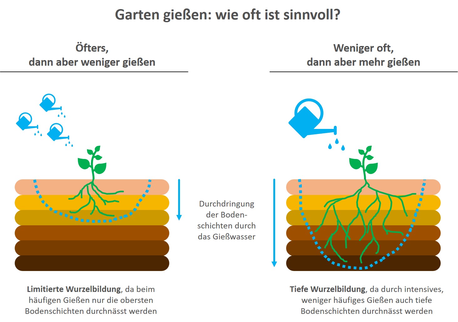 31+ Wie Lange Garten Gießen Im Herbst, Auf keinen fall wasser von