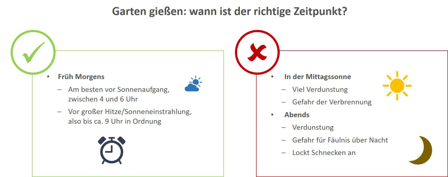 Garten richtig gießen wann, wie viel, wie lange & wie oft