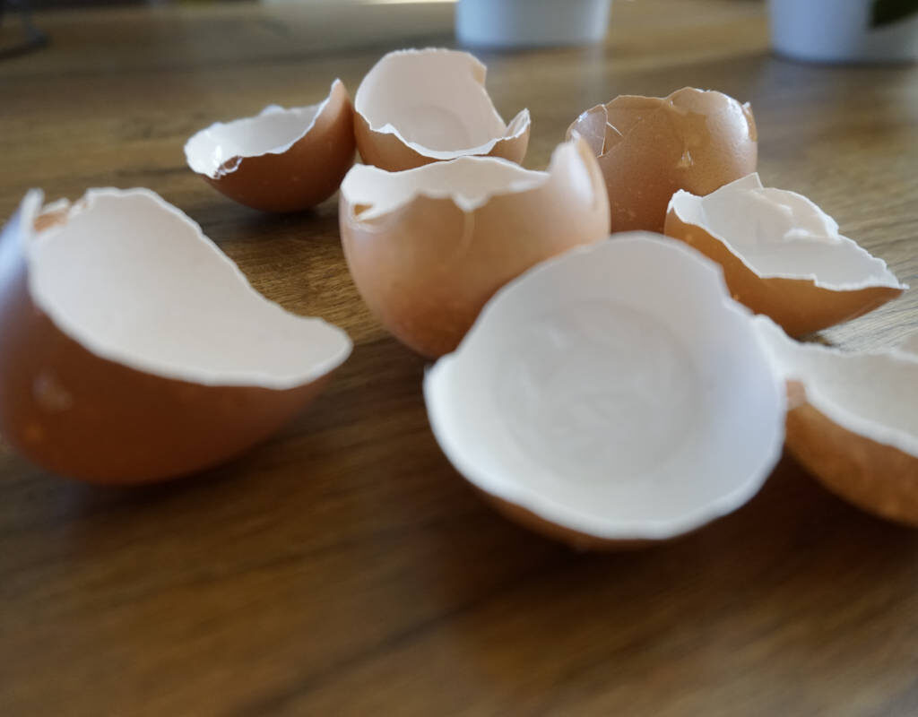 Dünger aus Eierschalen herstellen: Schritt-für-Schritt Anleitung