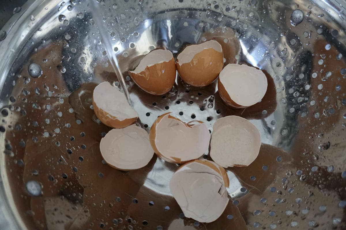 Dünger aus Eierschalen herstellen_Muss ich die Eierschalen vorher waschen?