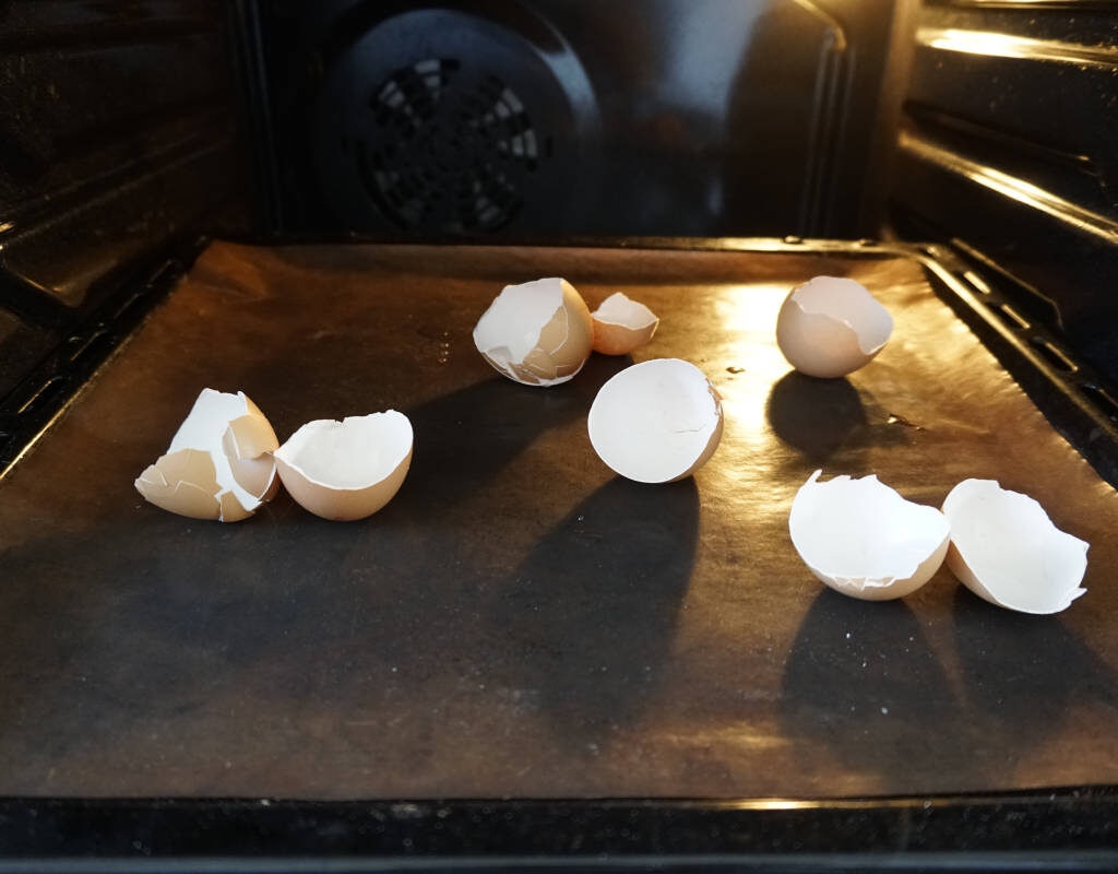 Dünger aus Eierschalen herstellen_Schritt 1_Trocknen im Ofen