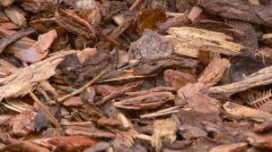 Rindenmulch für den Garten