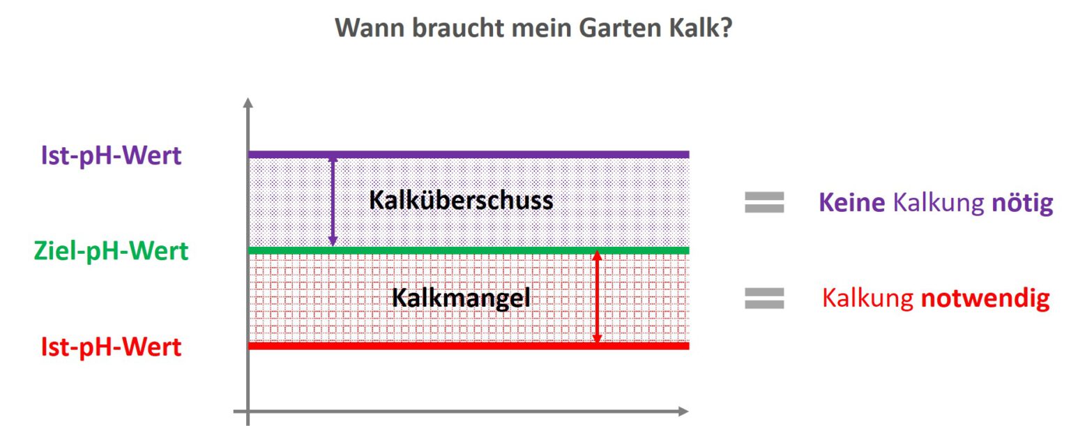 Wie viel Kalk im Garten streuen halte dich an diese Mengen