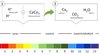 Wirkung von Kalk im Boden