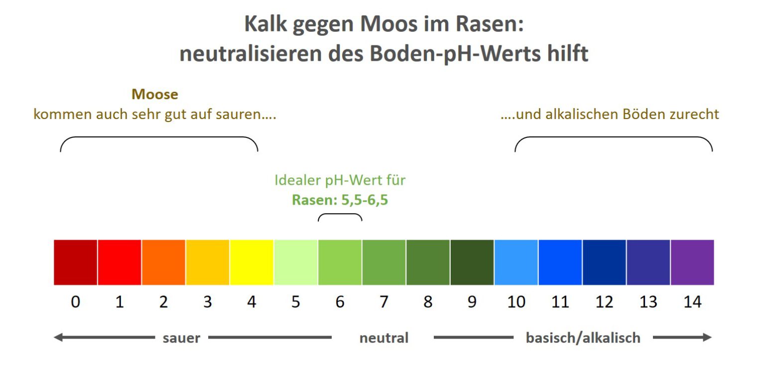 Kalk gegen Moos im Rasen Welcher Kalk wirkt?